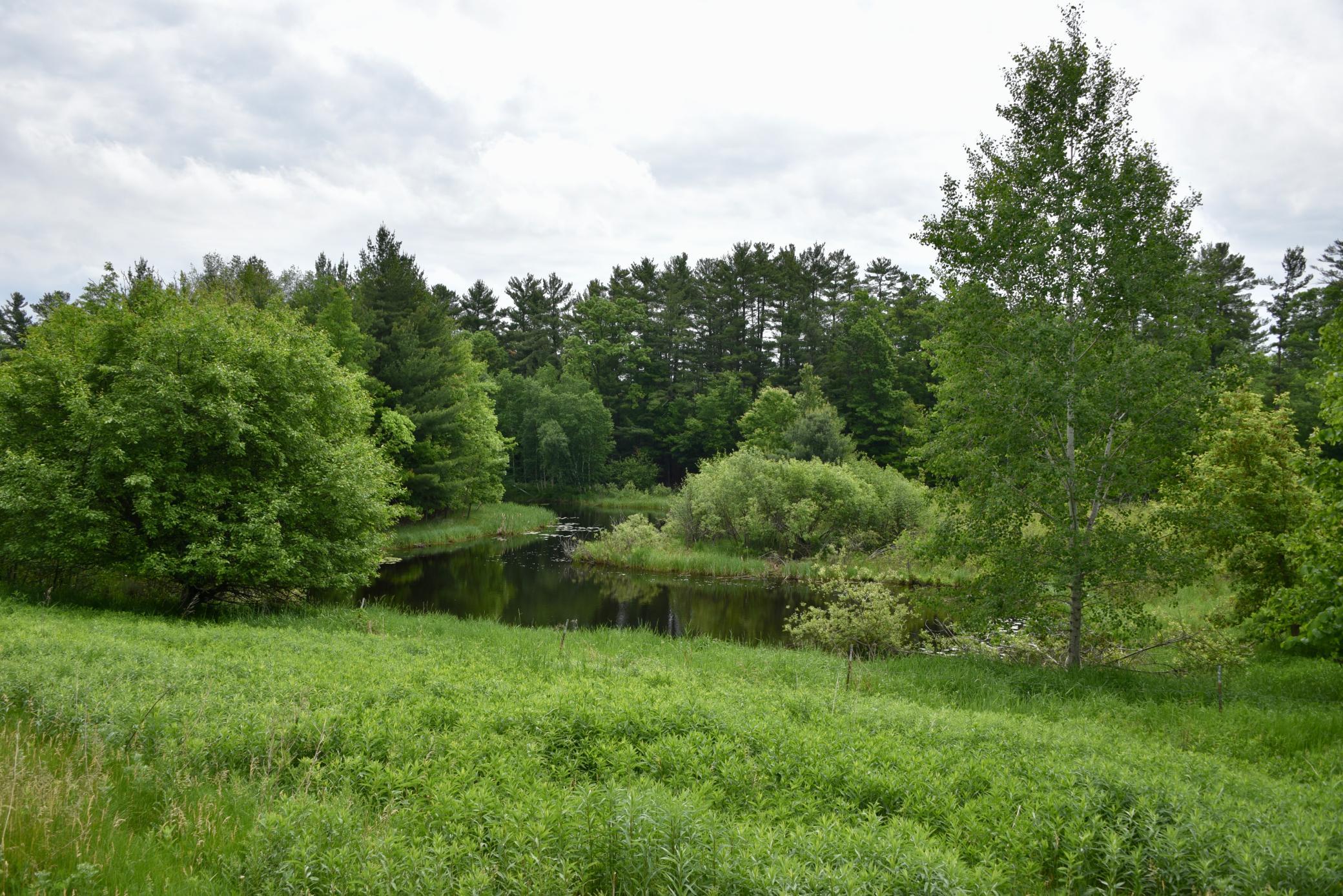 20692 Keystone Road Milaca, MN 56353 - Photo 72 of 105