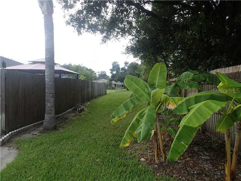 405 Cedar Ridge Court Oldsmar, FL 34677 - Photo 21 of 24 Other - No backyard neighbors