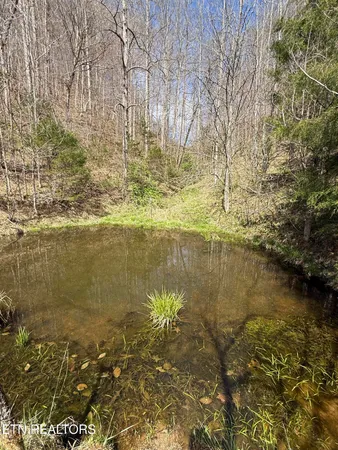 $249,000 | 0 Kyles Ford, Kyles Ford, TN 37765