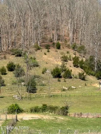 $249,000 | 0 Kyles Ford, Kyles Ford, TN 37765