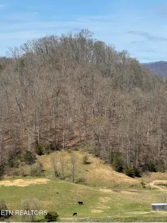$249,000 | 0 Kyles Ford, Kyles Ford, TN 37765