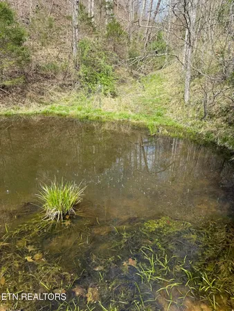 $249,000 | 0 Kyles Ford, Kyles Ford, TN 37765