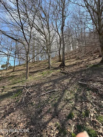 $249,000 | 0 Kyles Ford, Kyles Ford, TN 37765