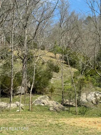 $249,000 | 0 Kyles Ford, Kyles Ford, TN 37765