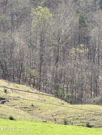 $249,000 | 0 Kyles Ford, Kyles Ford, TN 37765
