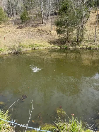 $249,000 | 0 Kyles Ford, Kyles Ford, TN 37765