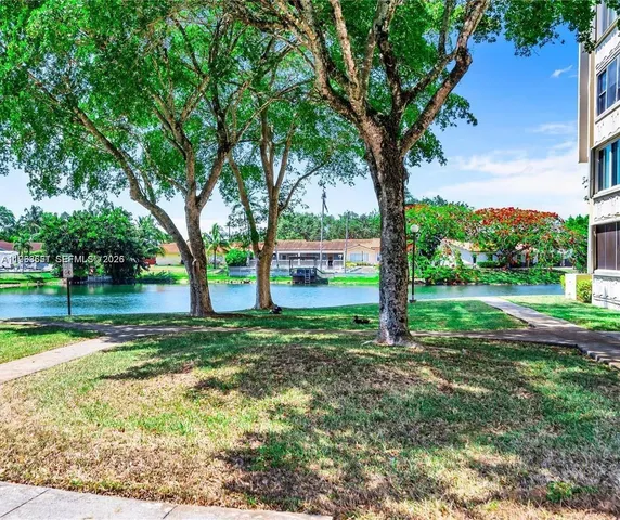 a view of a garden with a tree
