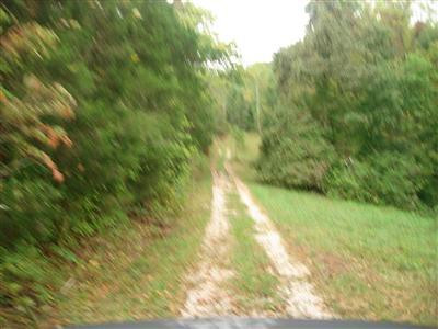 1999 Burton Williams Road Irvine, KY 40336 - Photo 2 of 47 Photo 2