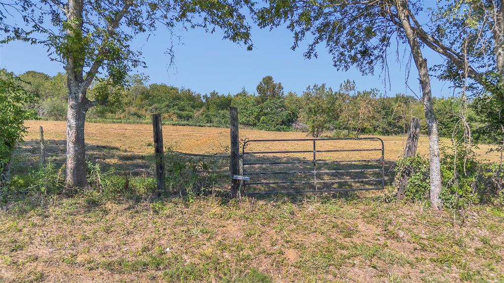 979 Rd Franklin Tx 77856 Road Franklin, TX 77856 - Photo 6 of 6 a view of a yard with a tree