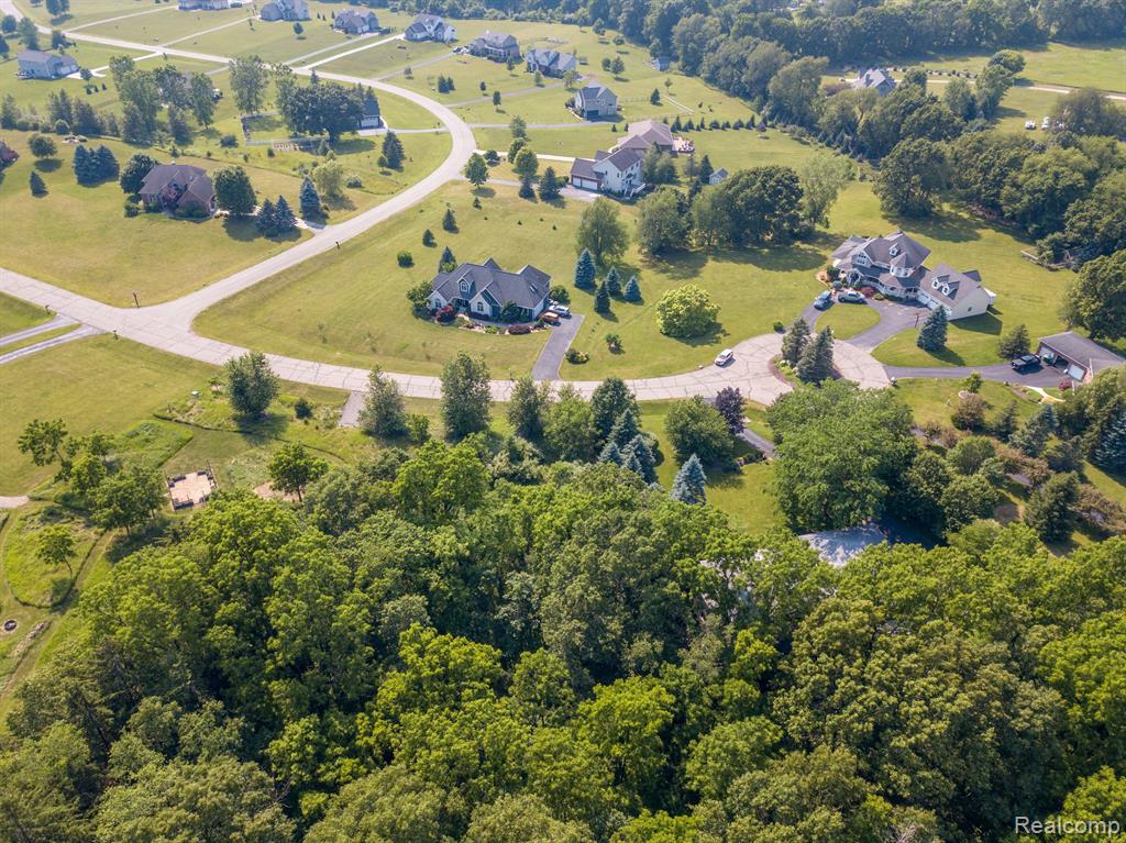 8045 Trail Ridge Dexter, MI 48130 - Photo 7 of 10