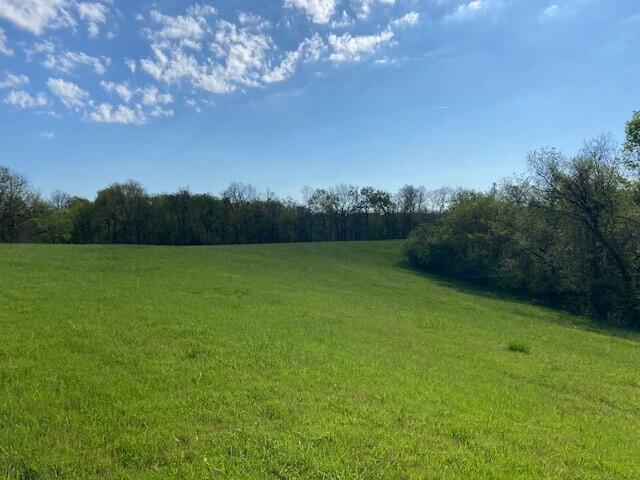 2451 Sardis Road Mount Olivet, KY 41064 - Photo 38 of 42