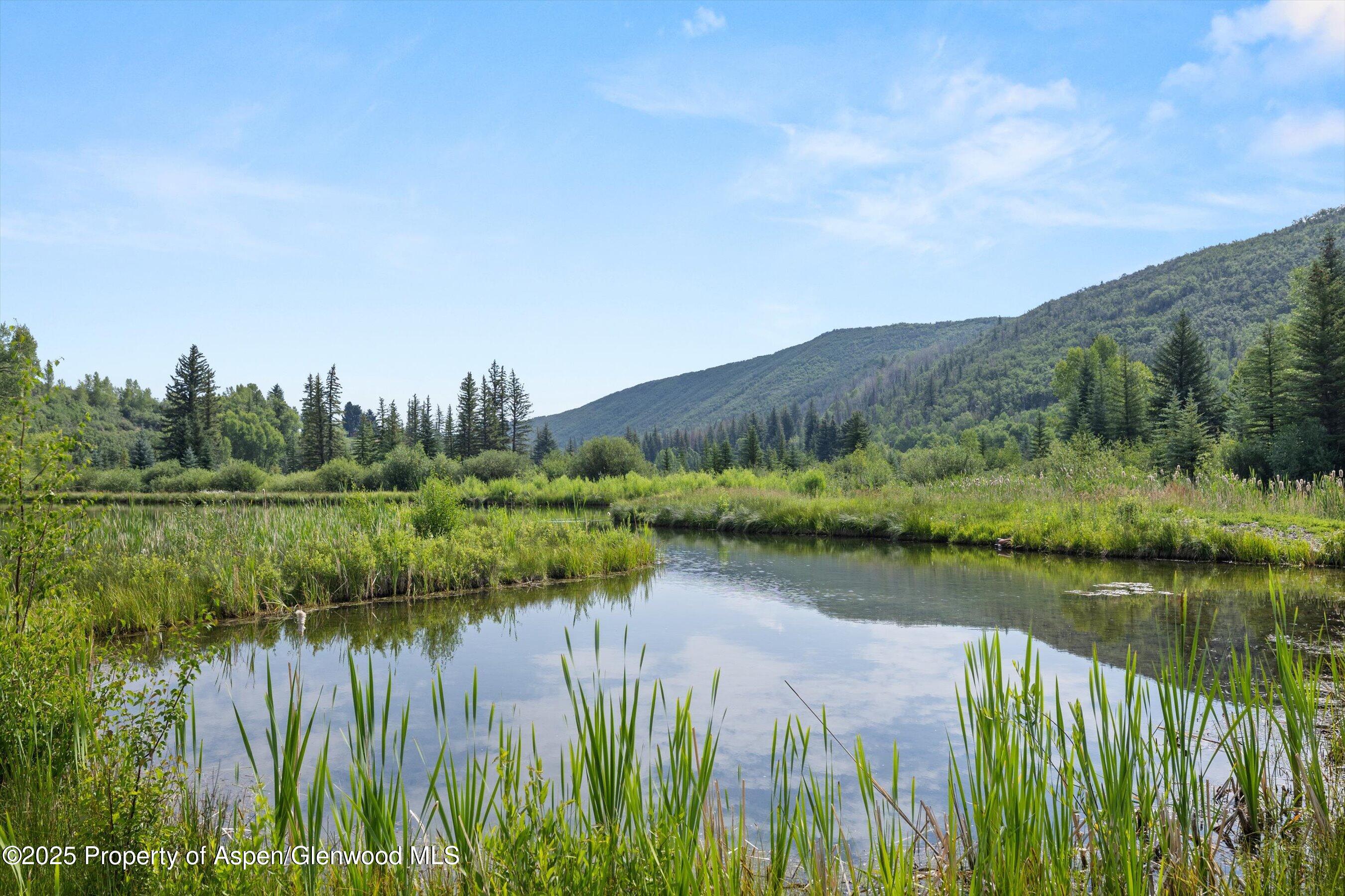 6458 Snowmass Creek Road Snowmass, CO 81654 - Photo 103 of 114 67-6458SmassCrRd25071767