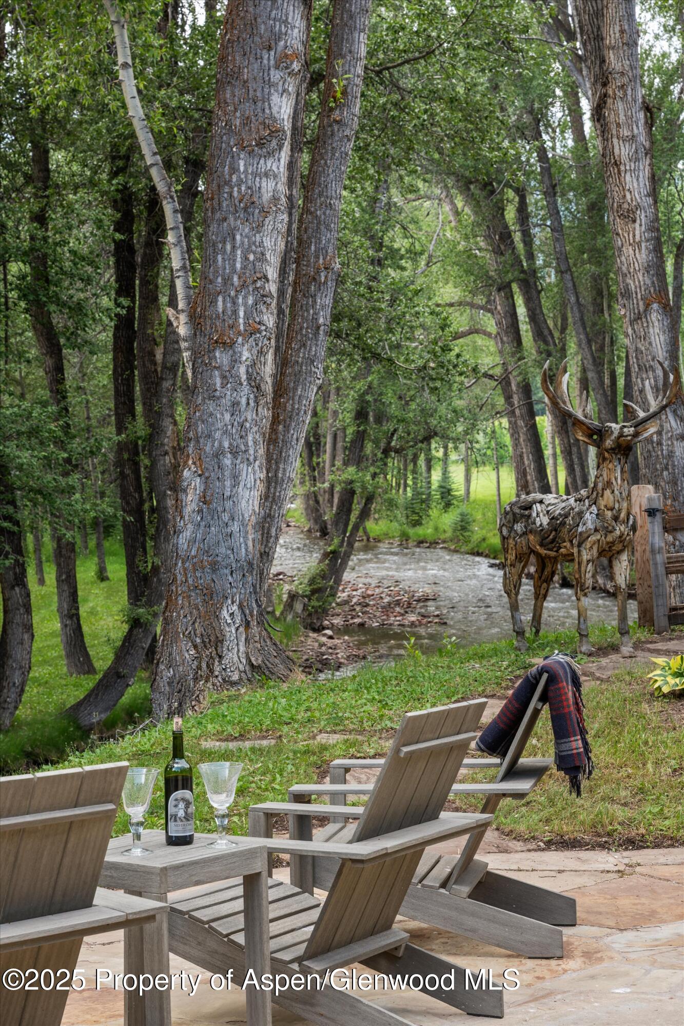 6458 Snowmass Creek Road Snowmass, CO 81654 - Photo 32 of 114 a view of a park with large trees