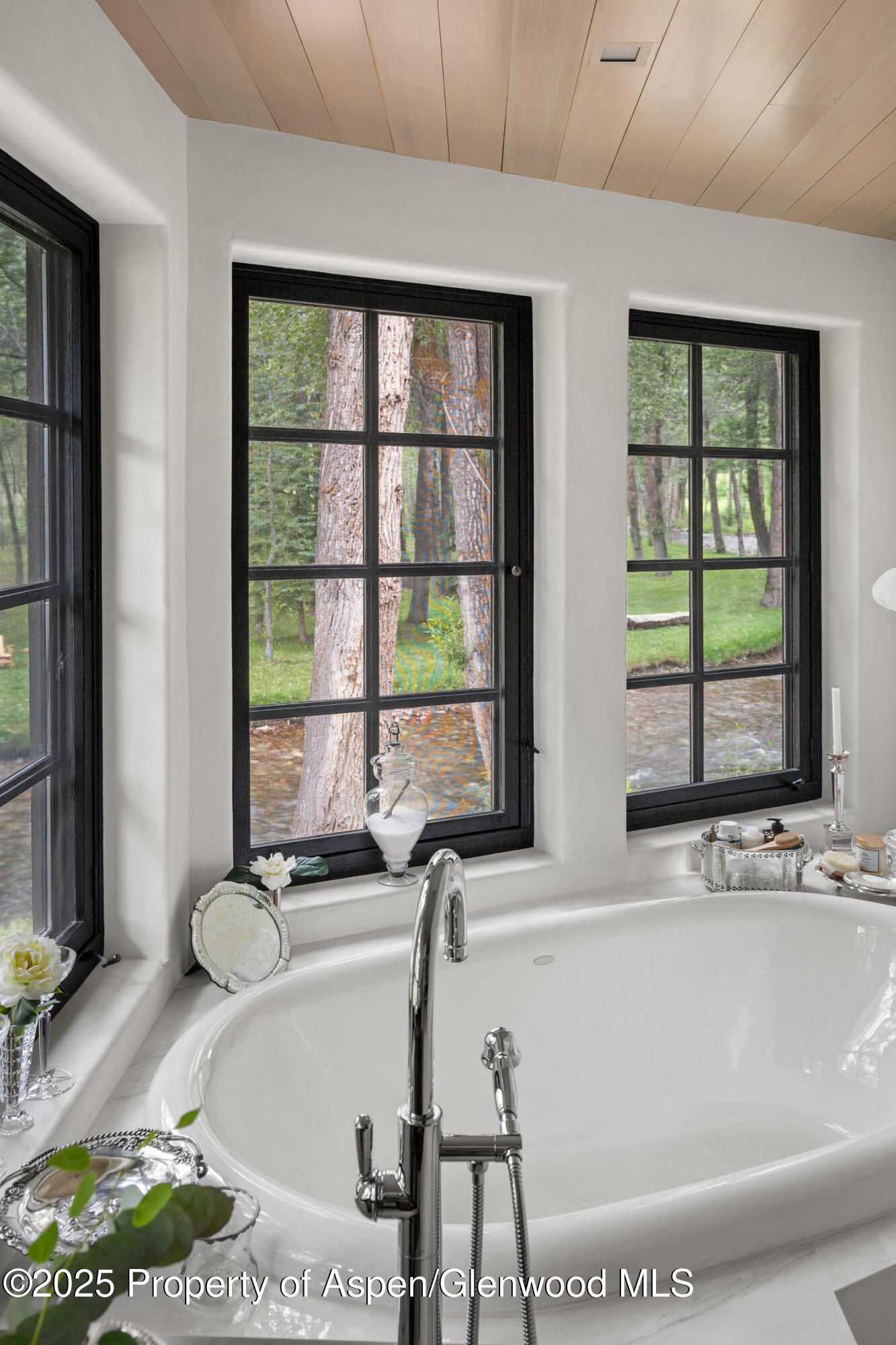 6458 Snowmass Creek Road Snowmass, CO 81654 - Photo 53 of 114 51-6458SmassCrRd25071751