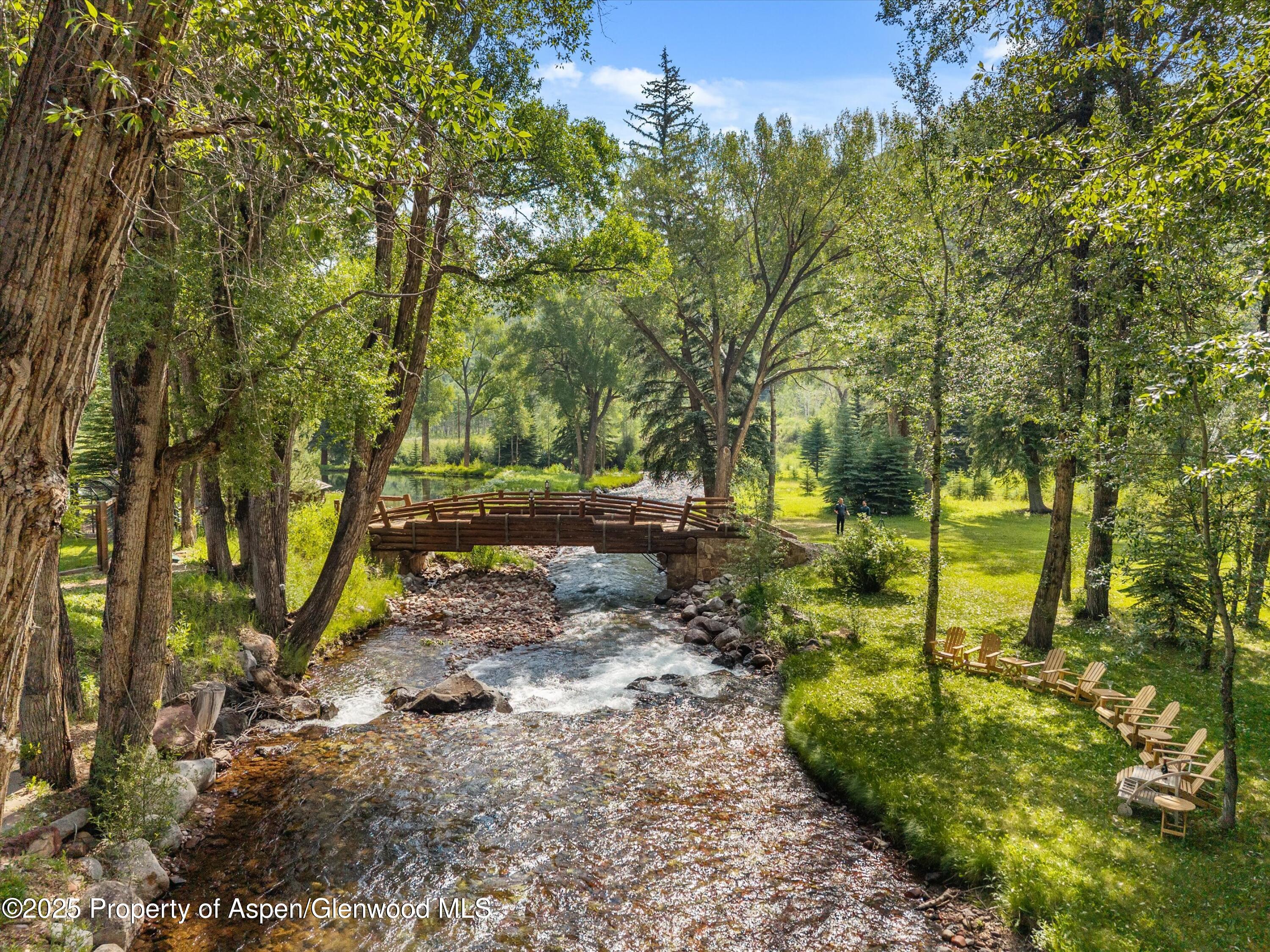 6458 Snowmass Creek Road Snowmass, CO 81654 - Photo 10 of 114 a backyard of a house with lots of green space