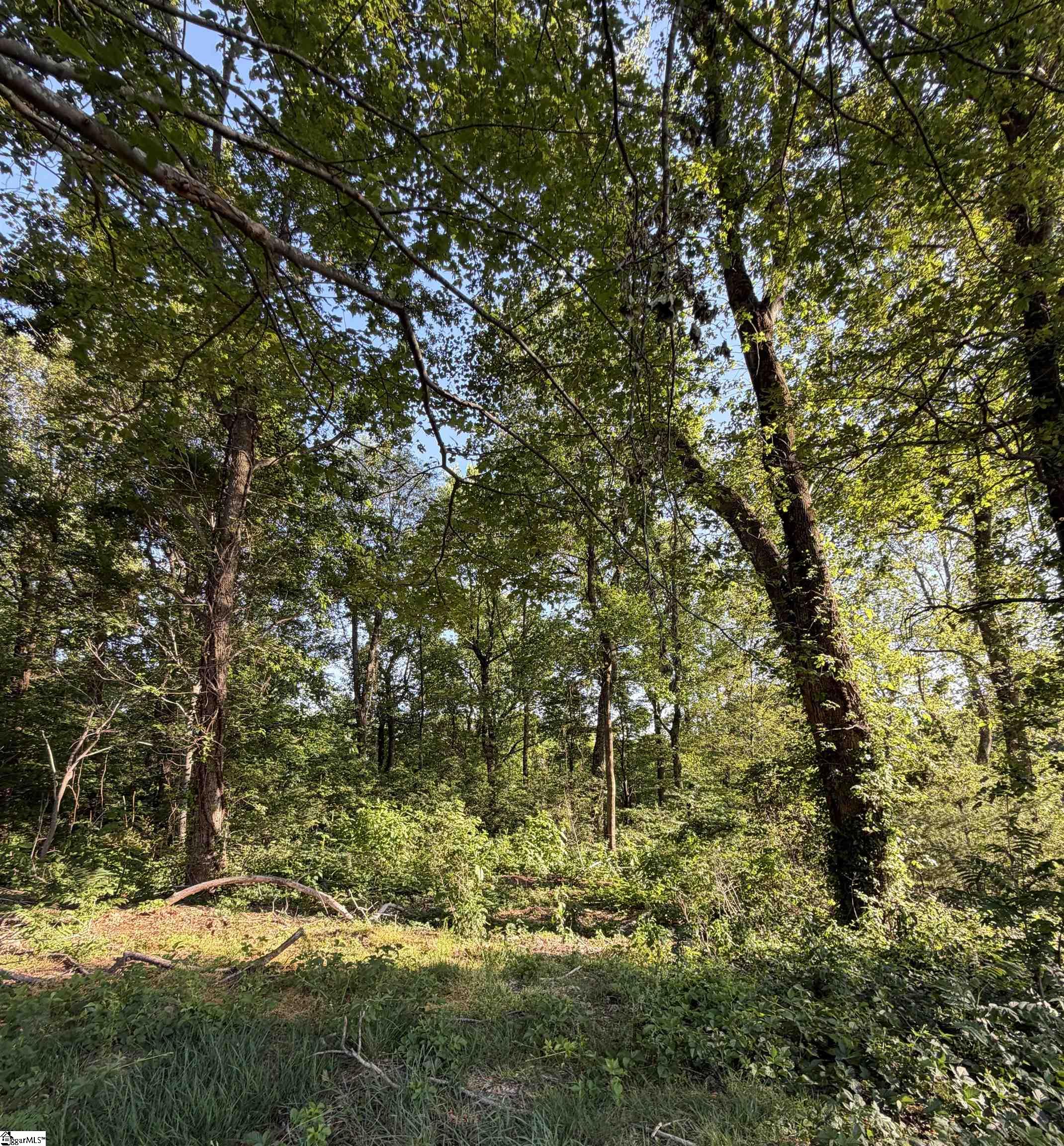103 May Apple Way Landrum, SC 29356 - Photo 10 of 12