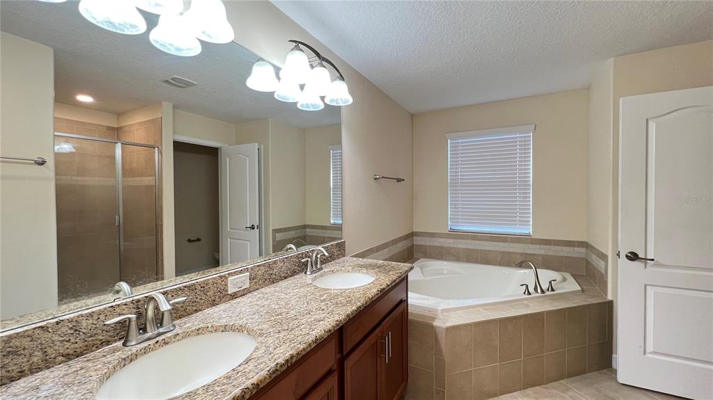 15401 Porter Road Winter Garden, FL 34787 - Photo 45 of 59 a bathroom with a granite countertop sink a large mirror and a bathtub