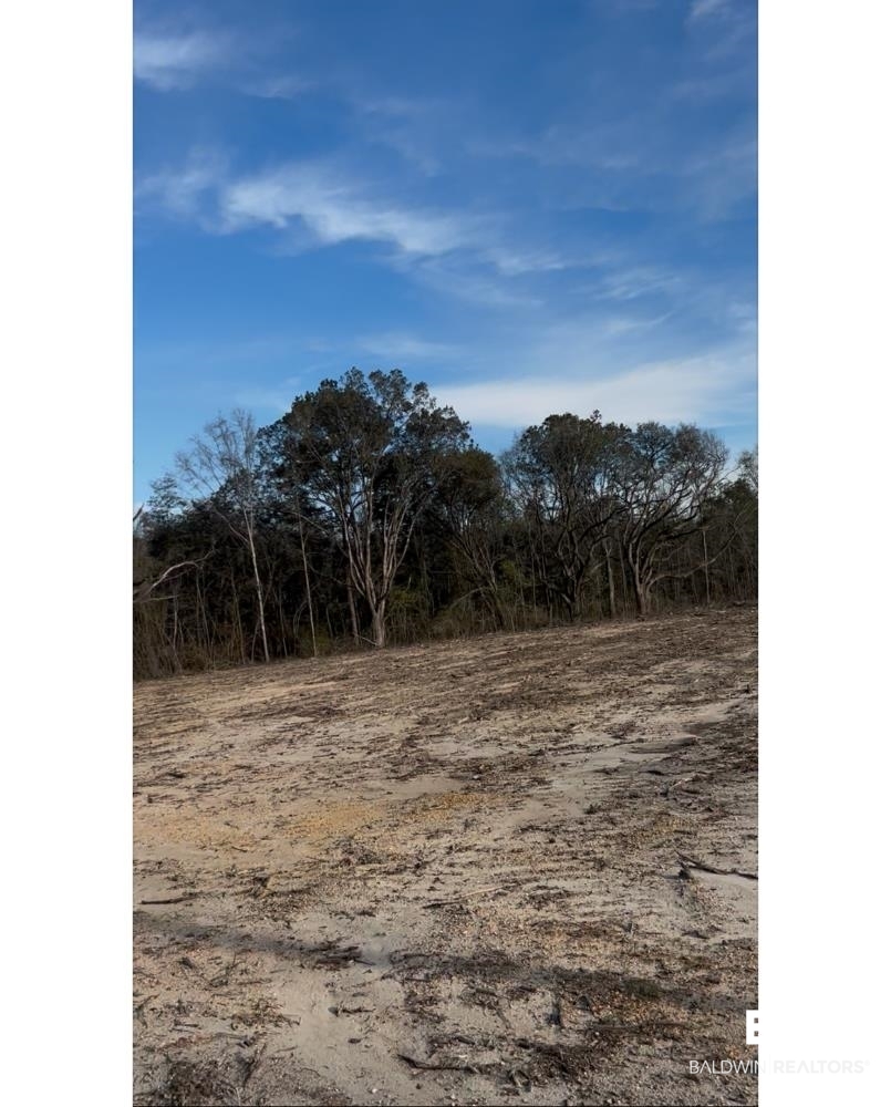0 Kirkland Road Brewton, AL 36426 - Photo 5 of 10 View of nature