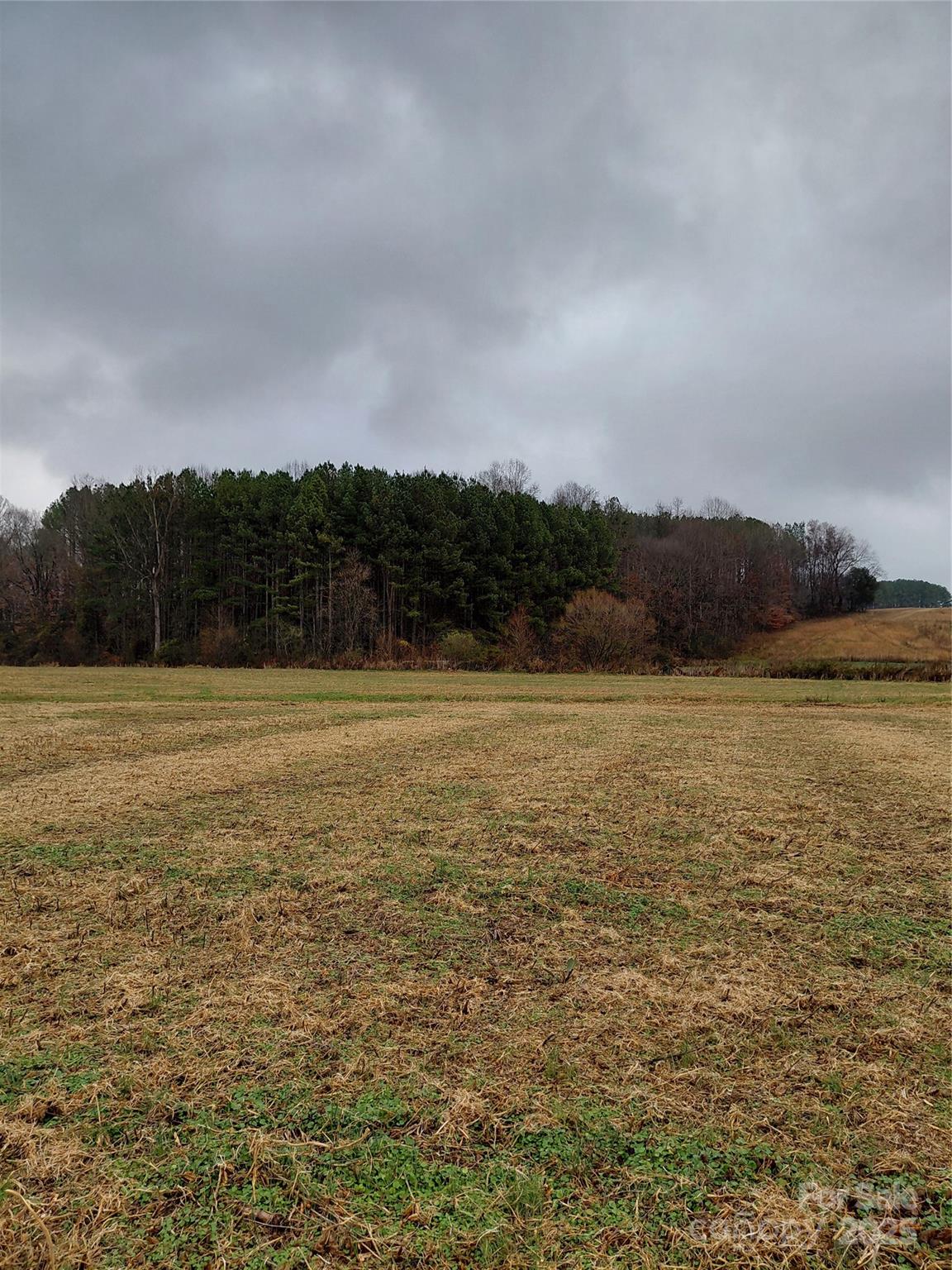 a view of an ocean and beach