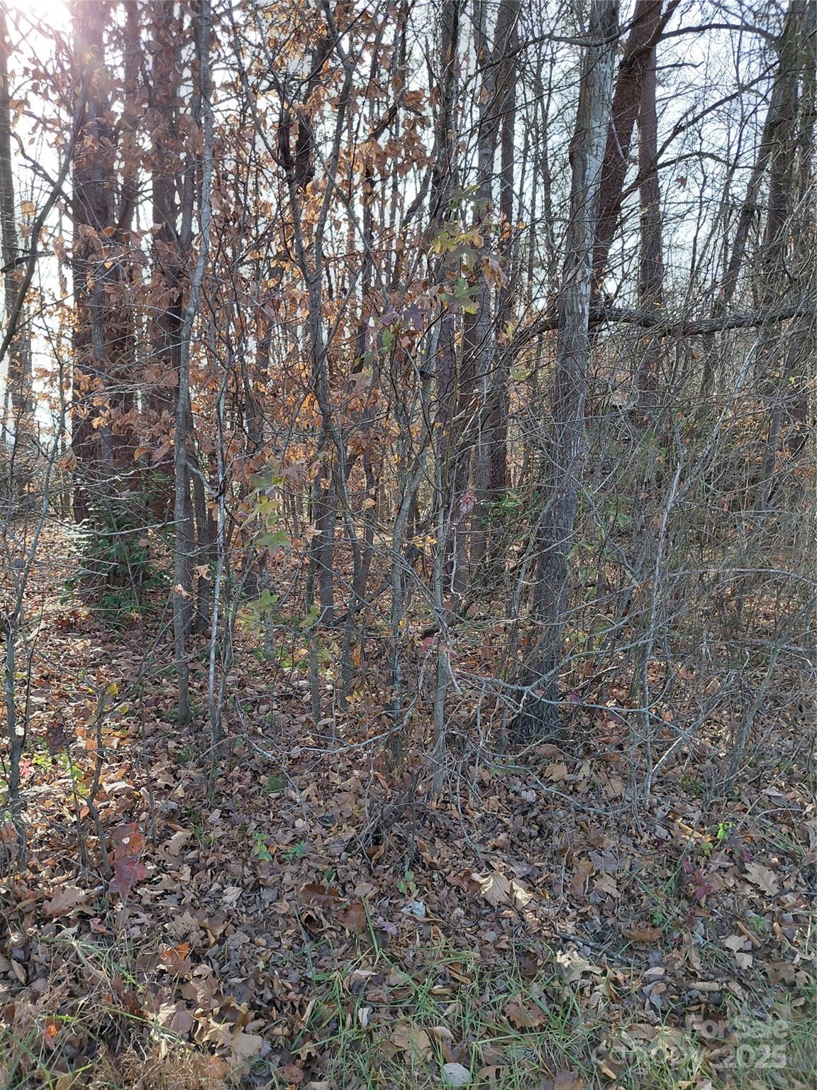 0 Hamlet Road Harmony, NC 28634 - Photo 12 of 12 a big yard with lots of bushes