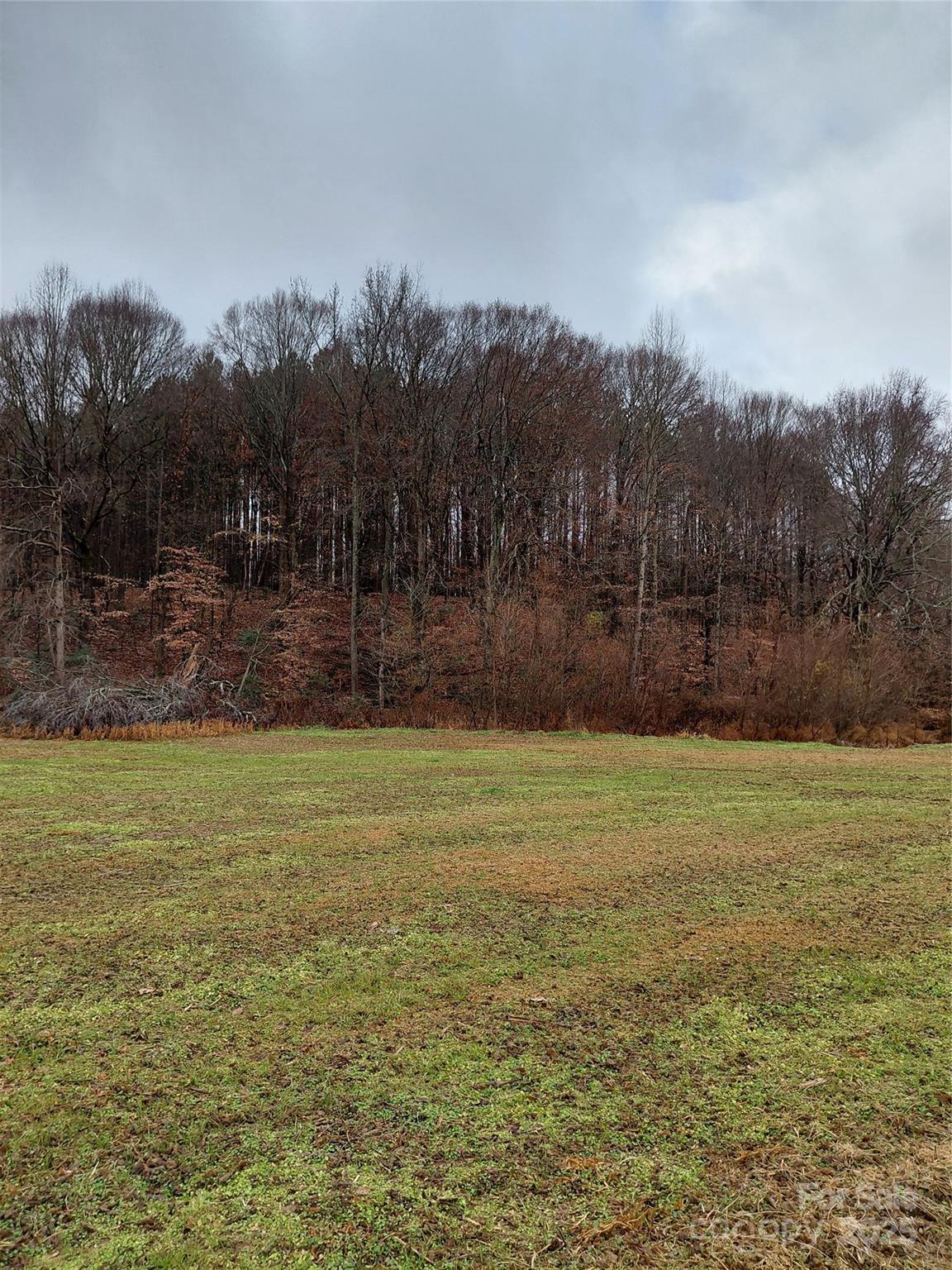 0 Hamlet Road Harmony, NC 28634 - Photo 4 of 12 a view of a yard