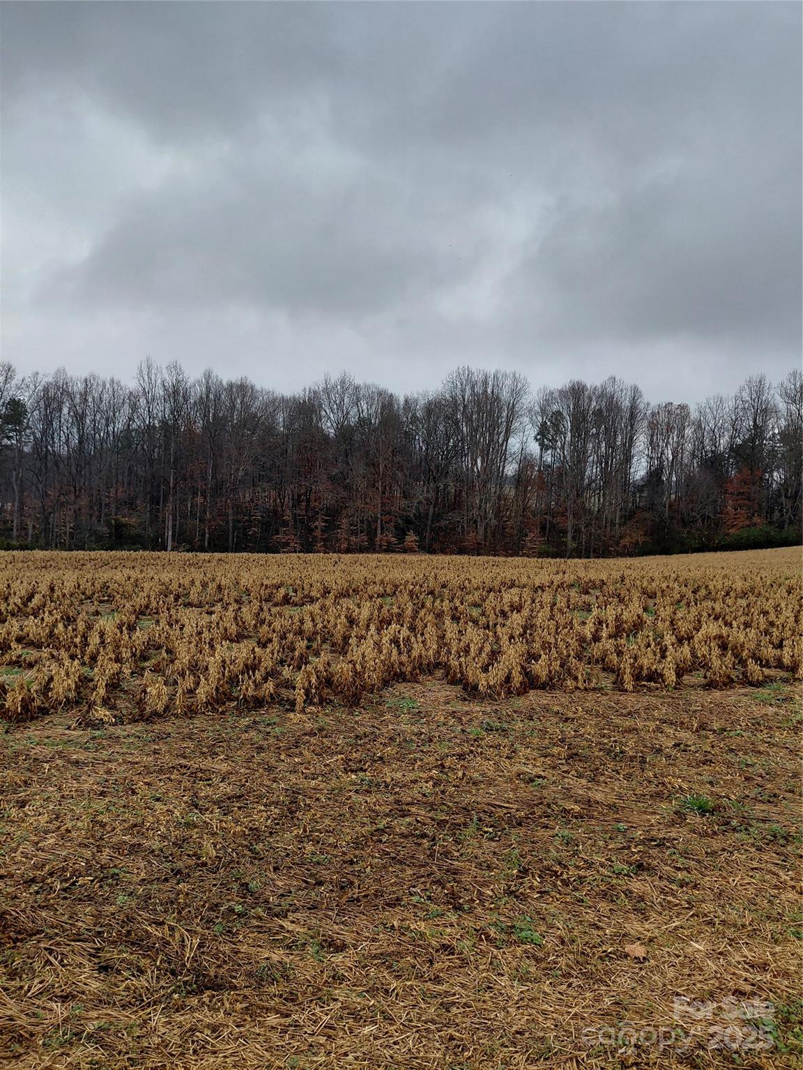 0 Hamlet Road Harmony, NC 28634 - Photo 5 of 12 a view of a lake view