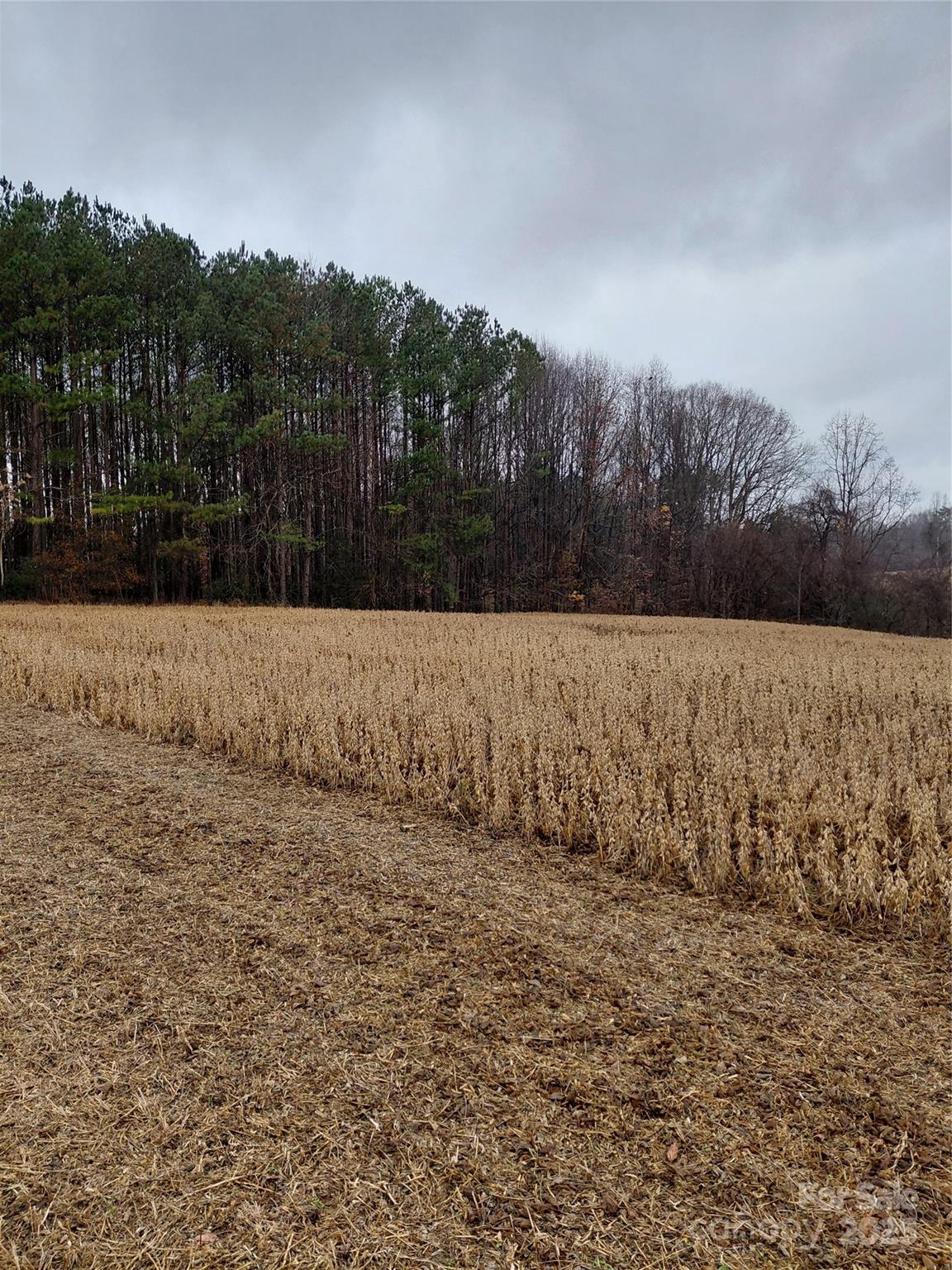 0 Hamlet Road Harmony, NC 28634 - Photo 6 of 12 a view of outdoor space
