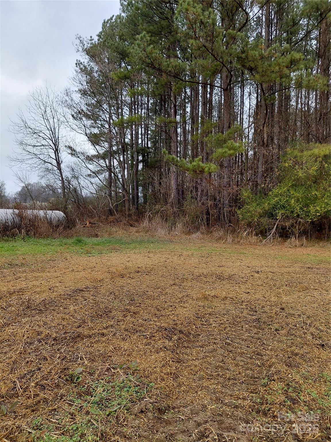 0 Hamlet Road Harmony, NC 28634 - Photo 8 of 12 a view of a yard