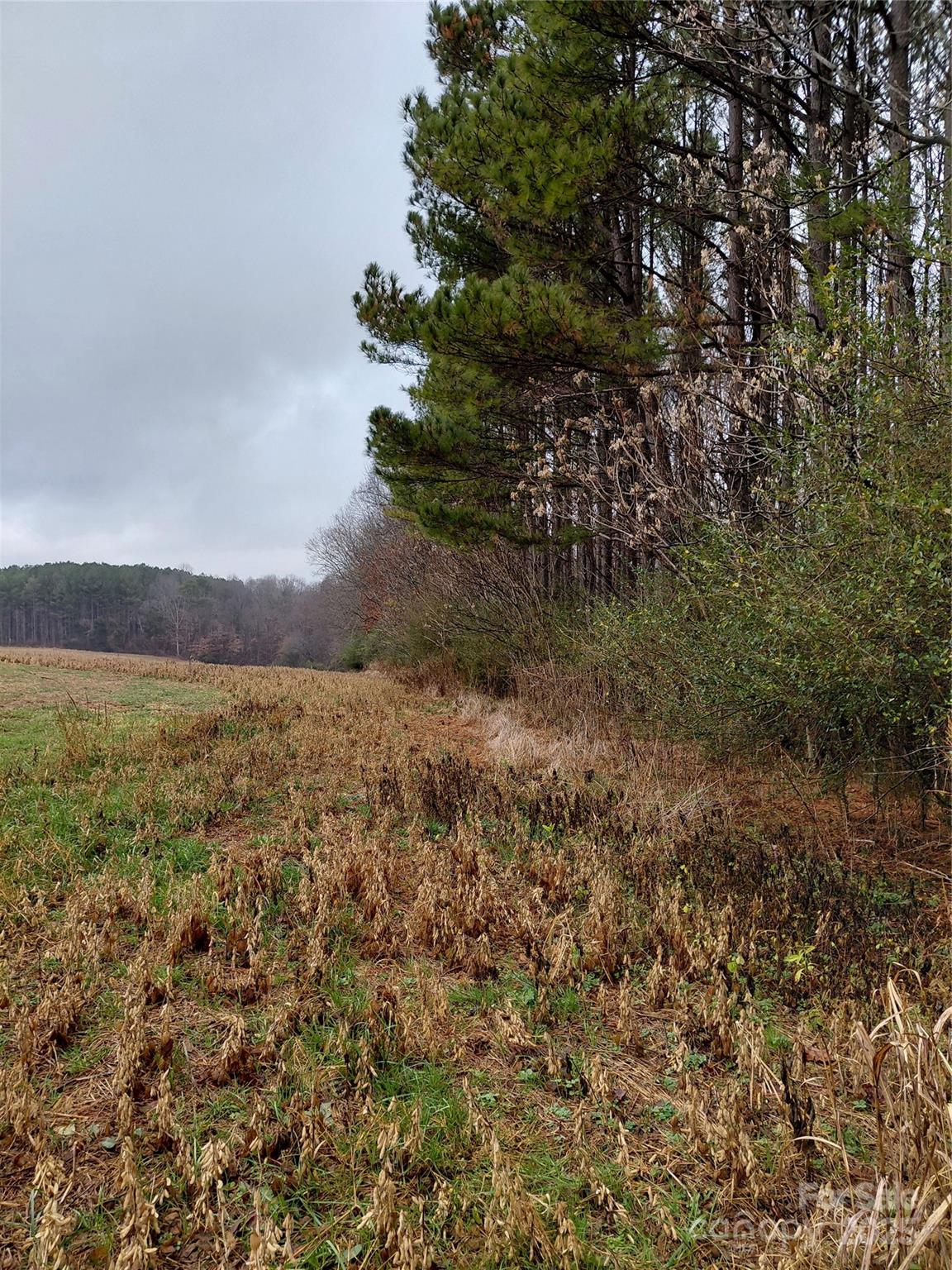 0 Hamlet Road Harmony, NC 28634 - Photo 9 of 12 a view of lake view