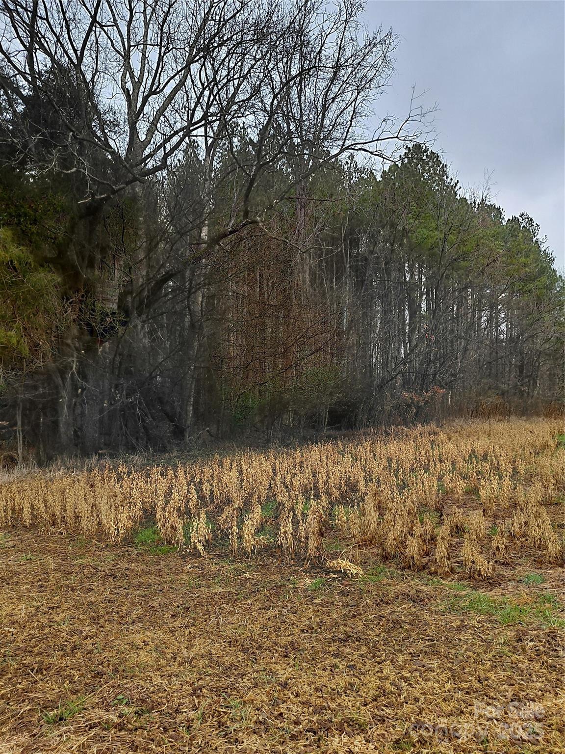 0 Hamlet Road Harmony, NC 28634 - Photo 10 of 12 a view of a yard