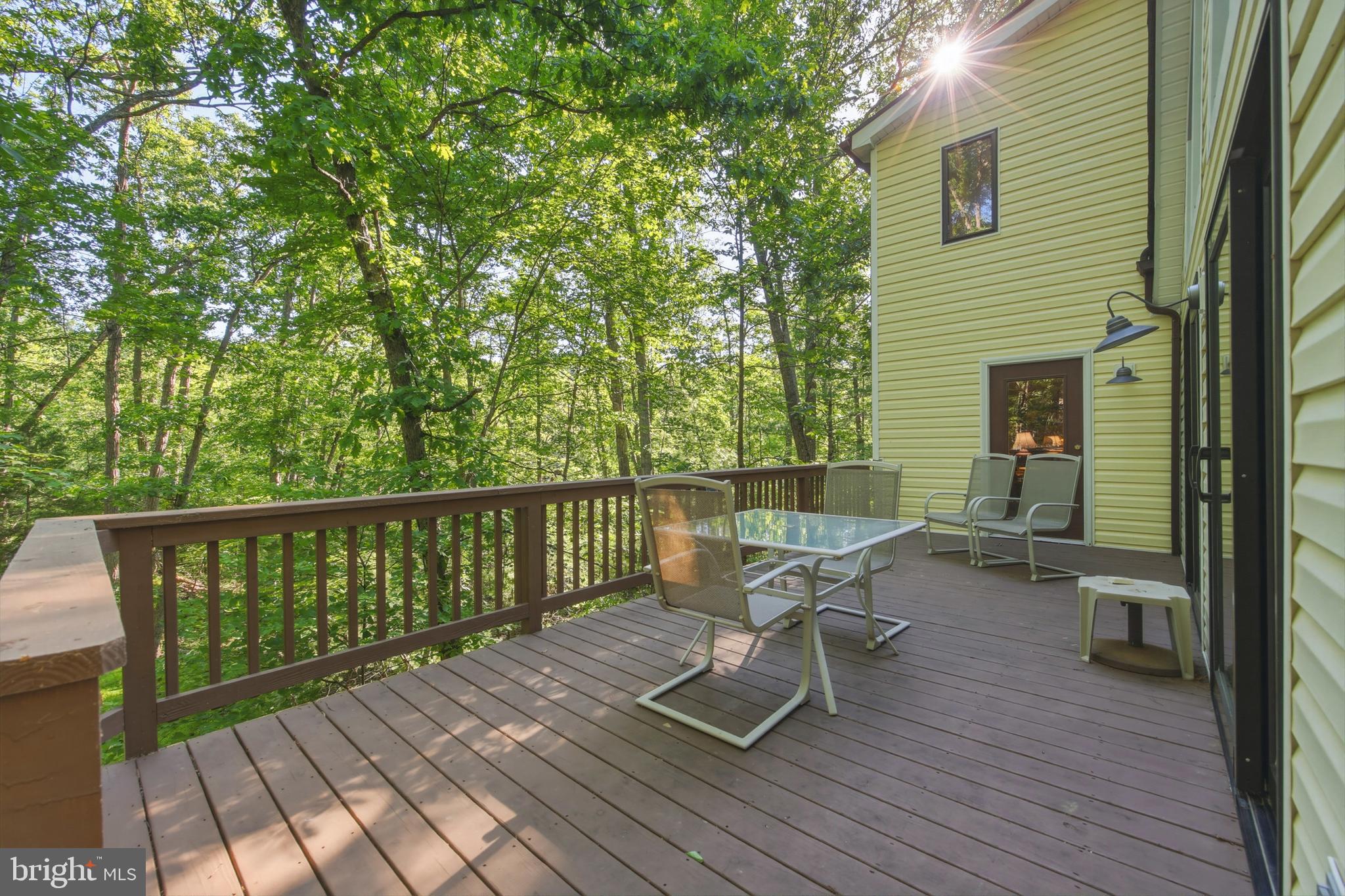 309 Locust Lane Mount Jackson, VA 22842 - Photo 8 of 57 Back deck