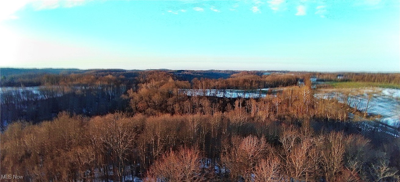 164 Township Road Bergholz, OH 43908 - Photo 2 of 26