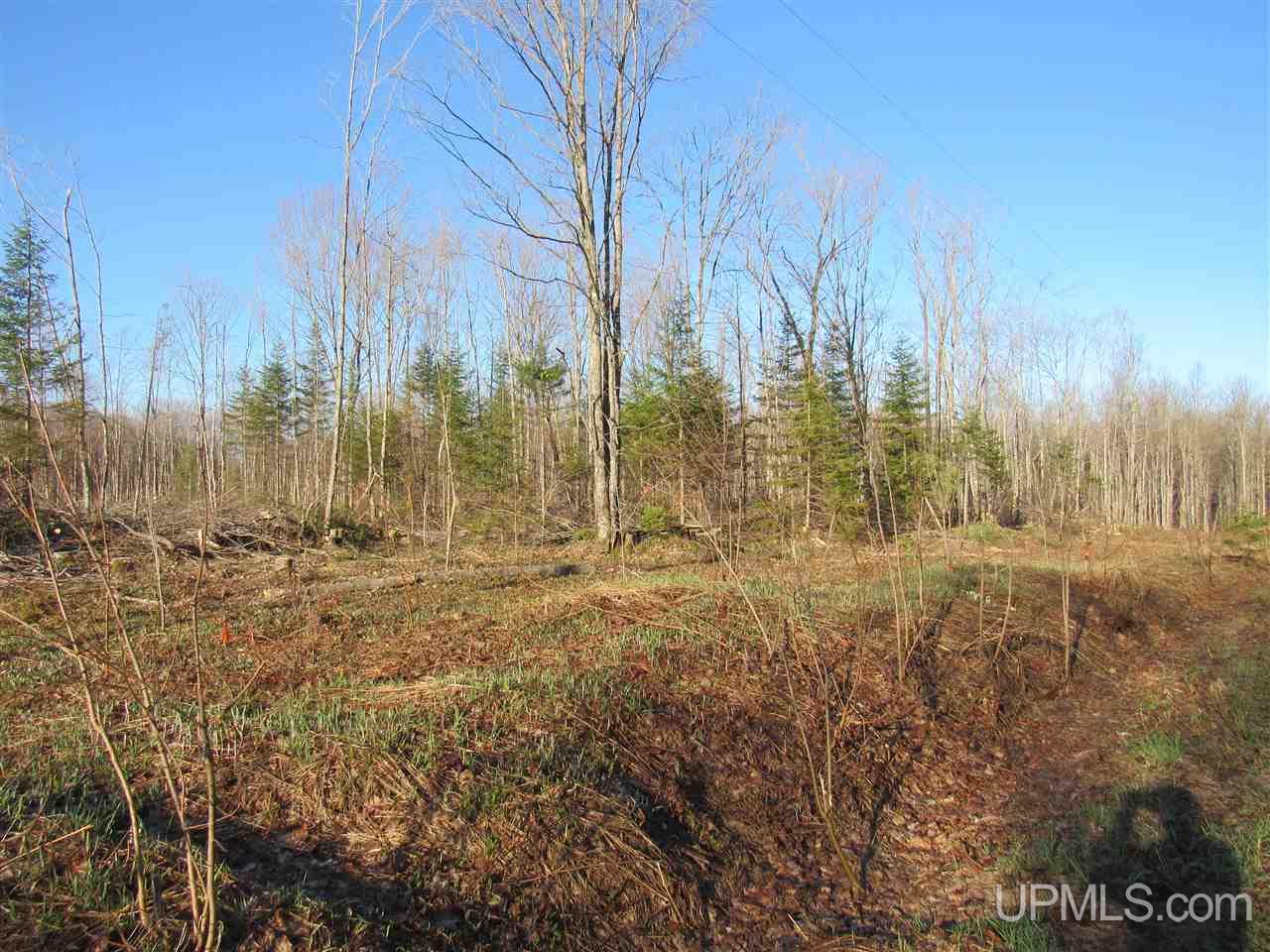 Tbd Tbd Mcmaster Road Skandia, MI 49885 - Photo 3 of 10