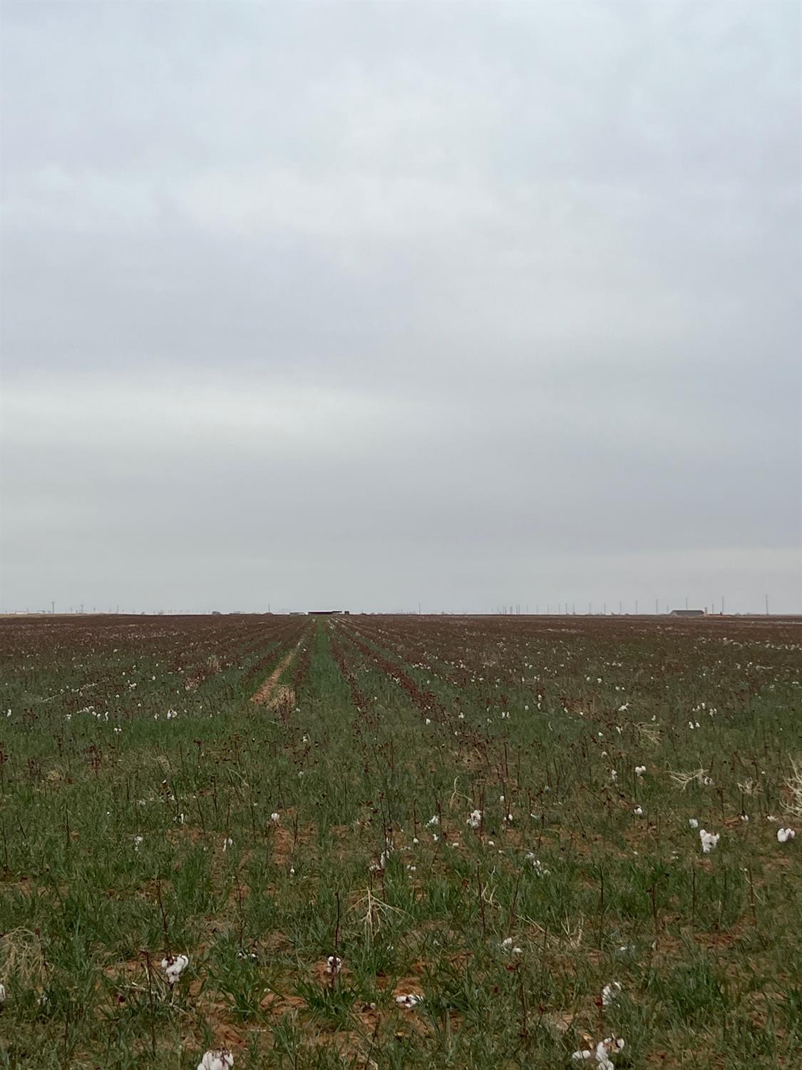 0 Fm 597 Abernathy Tx  