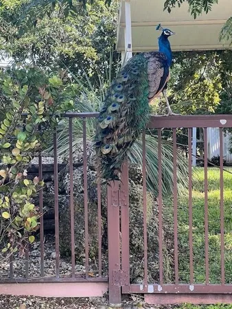 $950,000 | 17625 Southwest 91st Avenue, Palmetto Bay, FL 33157