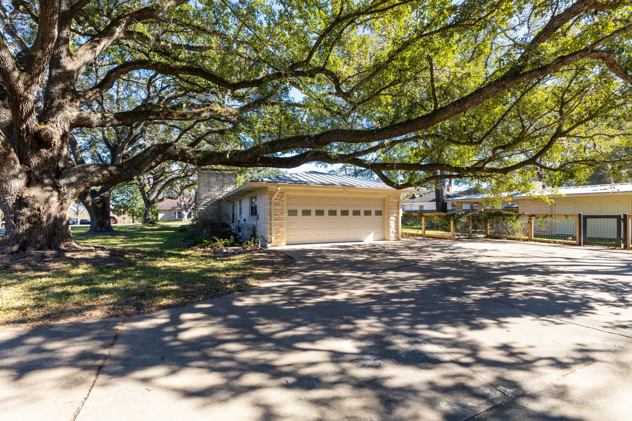 301 Bonham Street Columbus, TX 78934 - Photo 40 of 44 a view of a large tree next to a yard