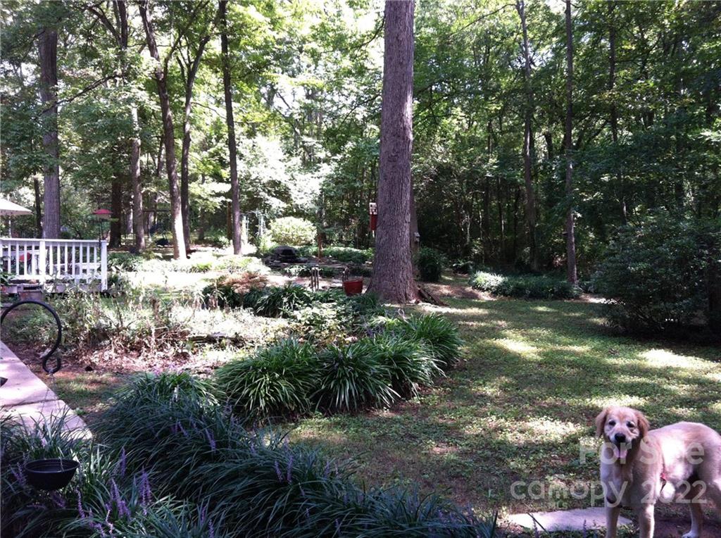 1024 Timber Lake Drive Charlotte, NC 28227 - Photo 25 of 34