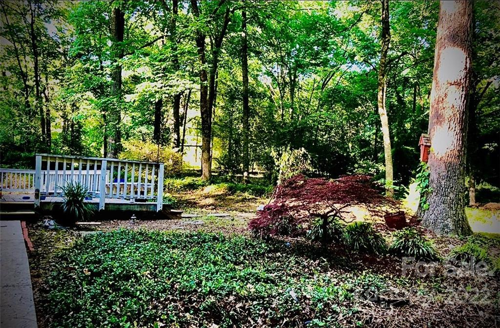 1024 Timber Lake Drive Charlotte, NC 28227 - Photo 29 of 34