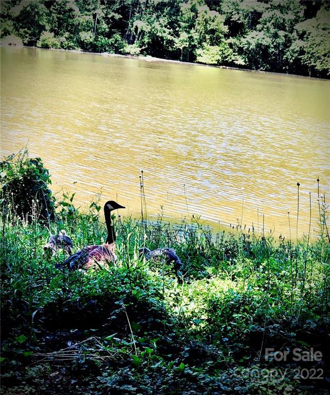 1024 Timber Lake Drive Charlotte, NC 28227 - Photo 34 of 34