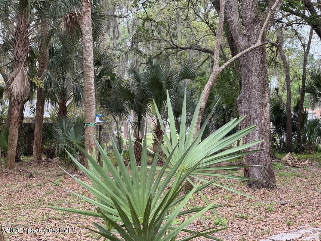 1160 Grapefruit Road Southeast Palm Bay, FL 32909 - Photo 1 of 6 1