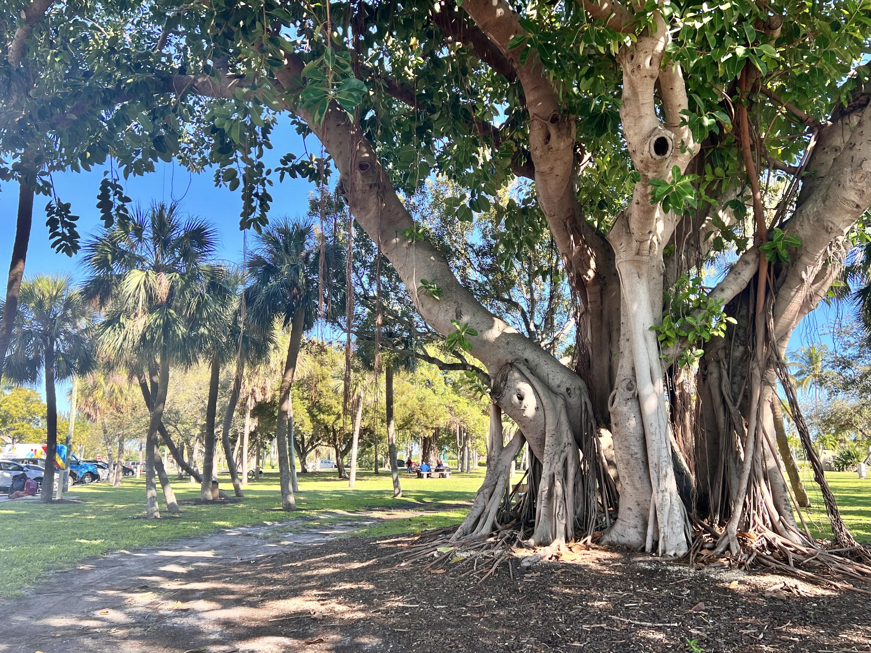 101 South Golfview Road, Unit 1 Lake Worth Beach, FL 33460 - Photo 28 of 47 BC7A4DB0-62E1-44C3-9A93-66938A38152B