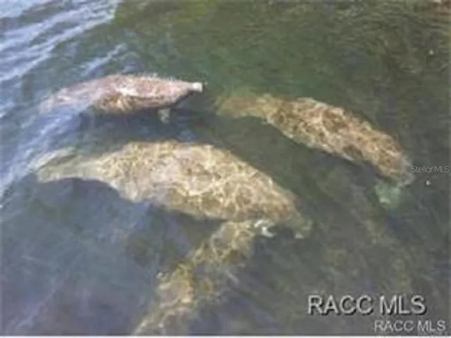 $155,900 | 76 South Jefferson Street, Beverly Hills, FL 34465