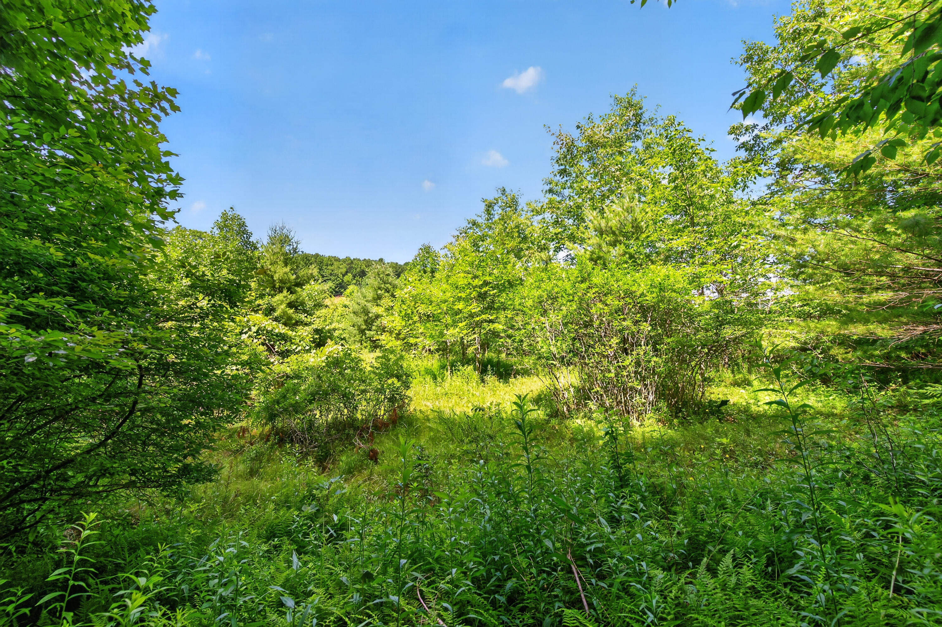 6196 Chances Creek Road Fancy Gap, VA 24328 - Photo 45 of 78 46