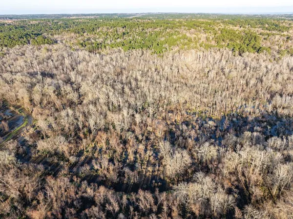 $25,000 | 0 An County Road 3194, Frankston, TX 75763