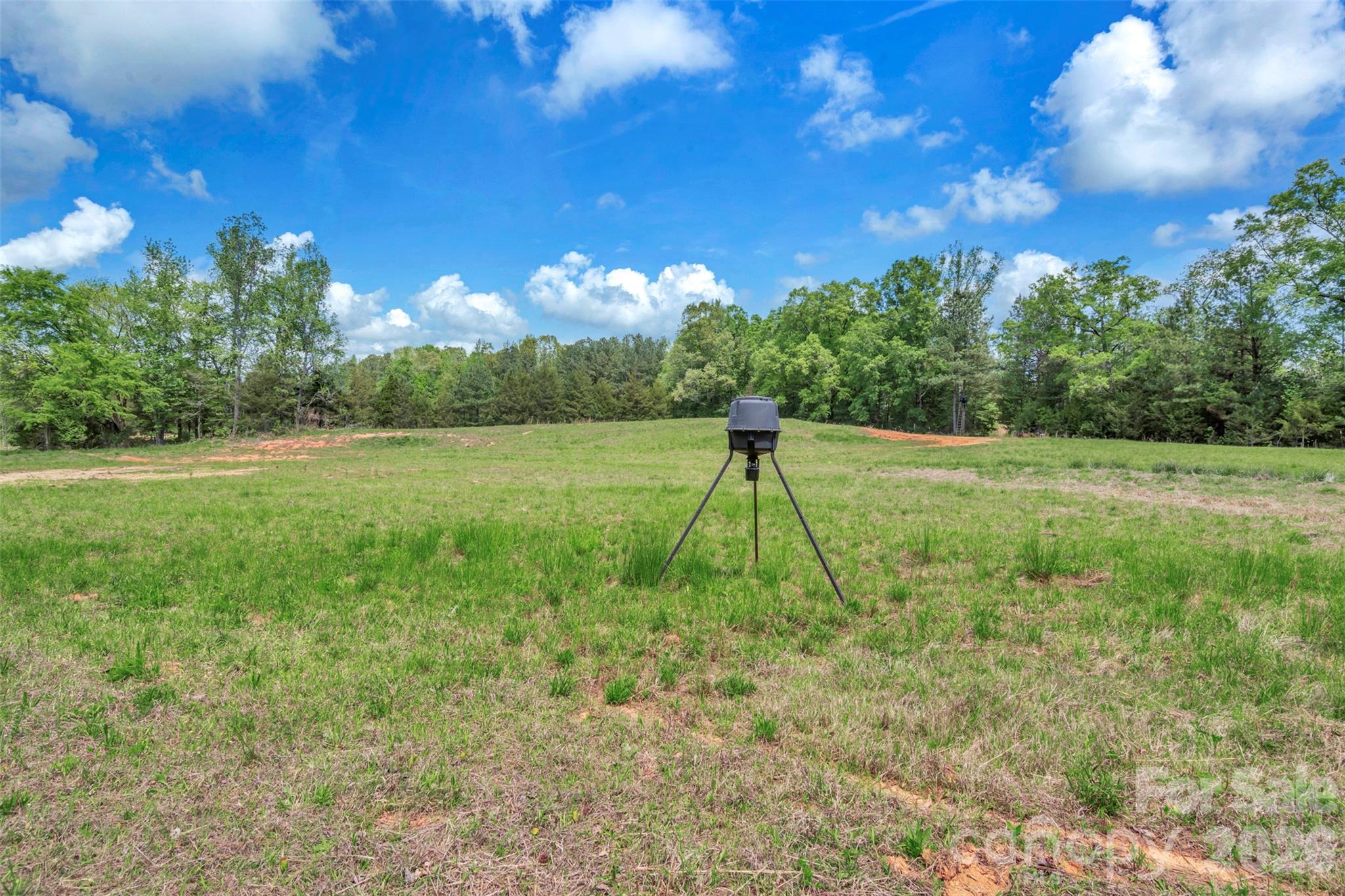 1958 Boyd Road Blackstock, SC 29014 - Photo 11 of 42