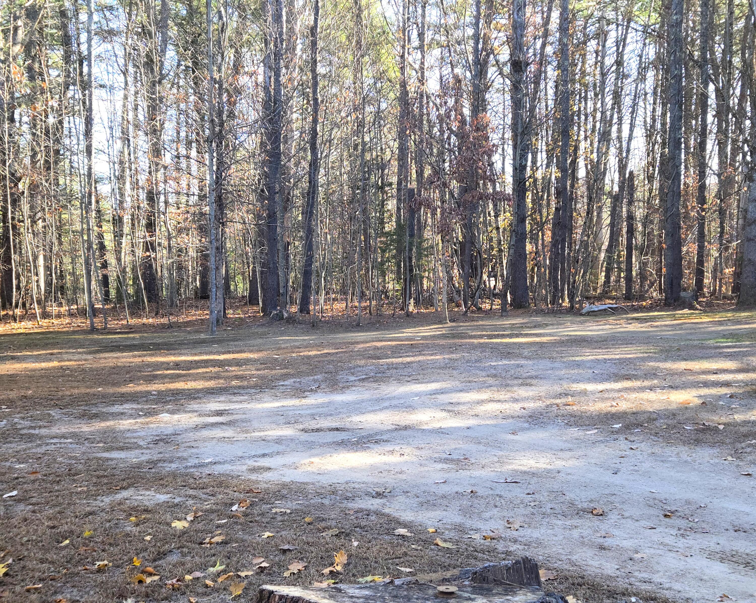 31 Sand Road Naples, ME 04055 - Photo 2 of 9 Cleared site