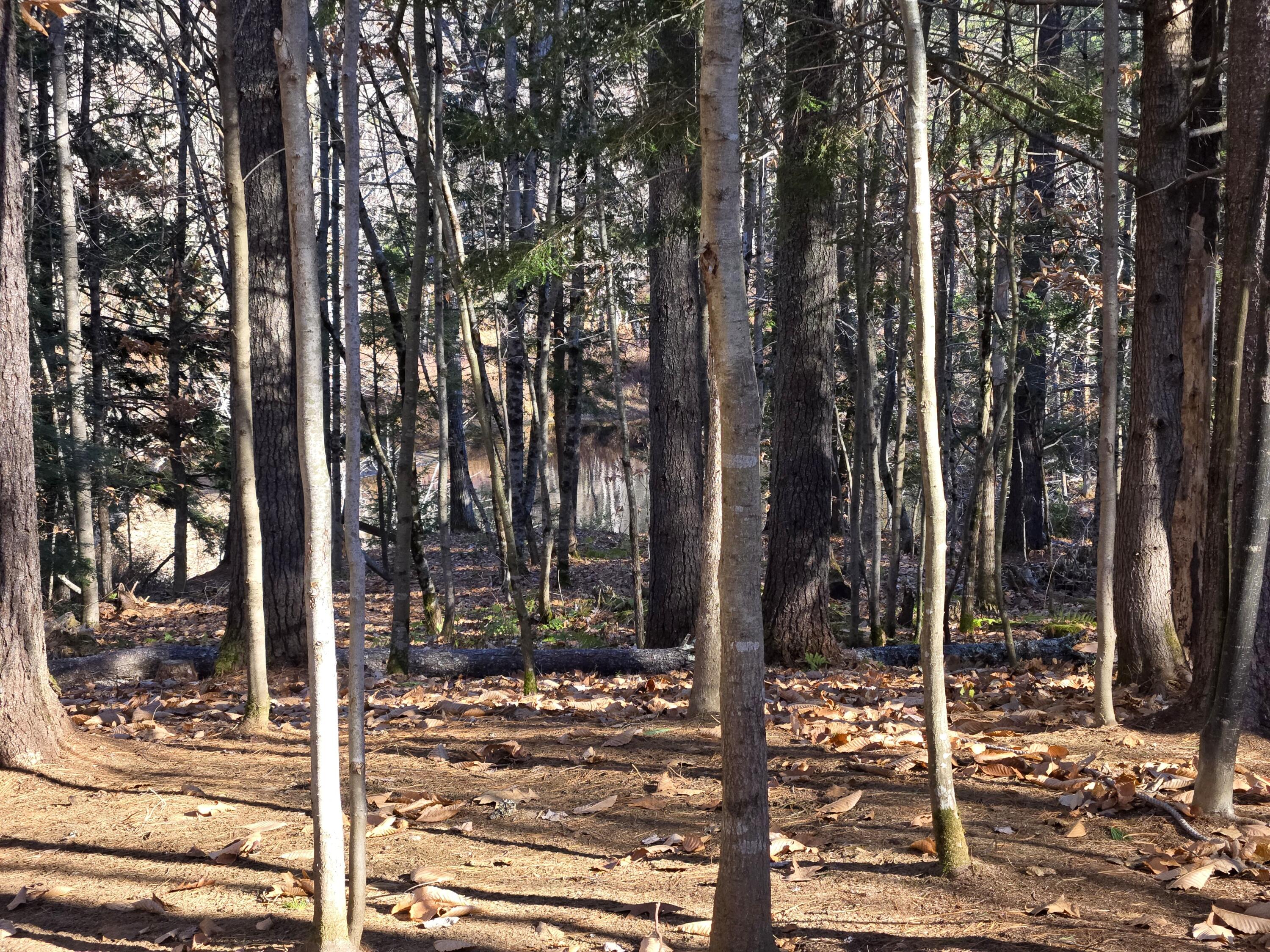 31 Sand Road Naples, ME 04055 - Photo 3 of 9 Overlook