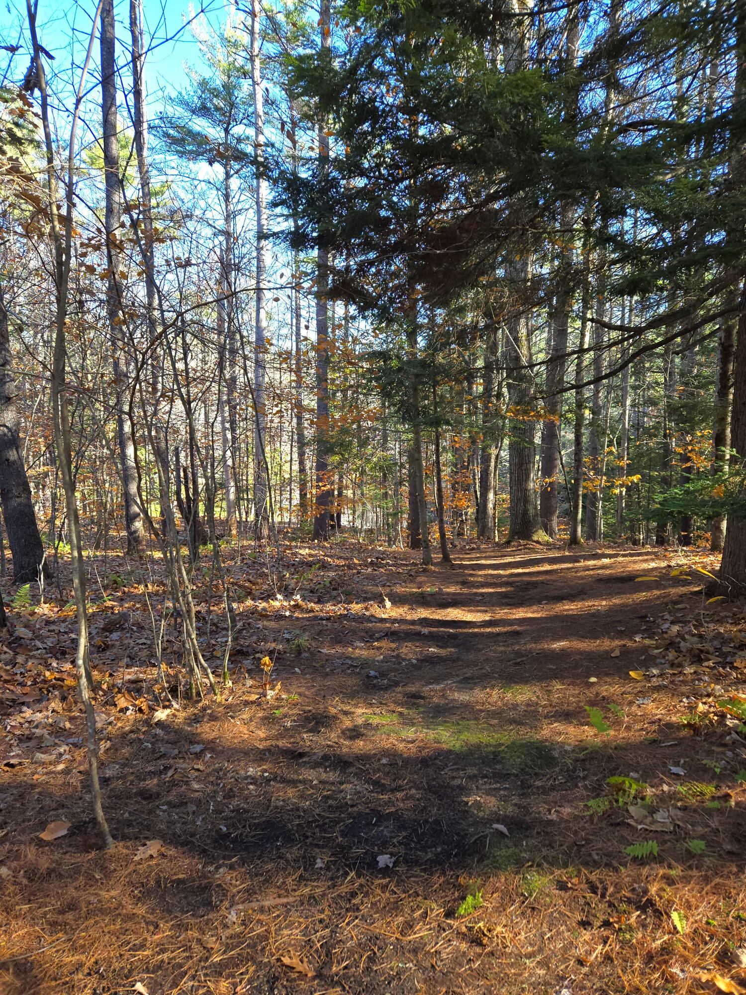 31 Sand Road Naples, ME 04055 - Photo 4 of 9 Beginning Path