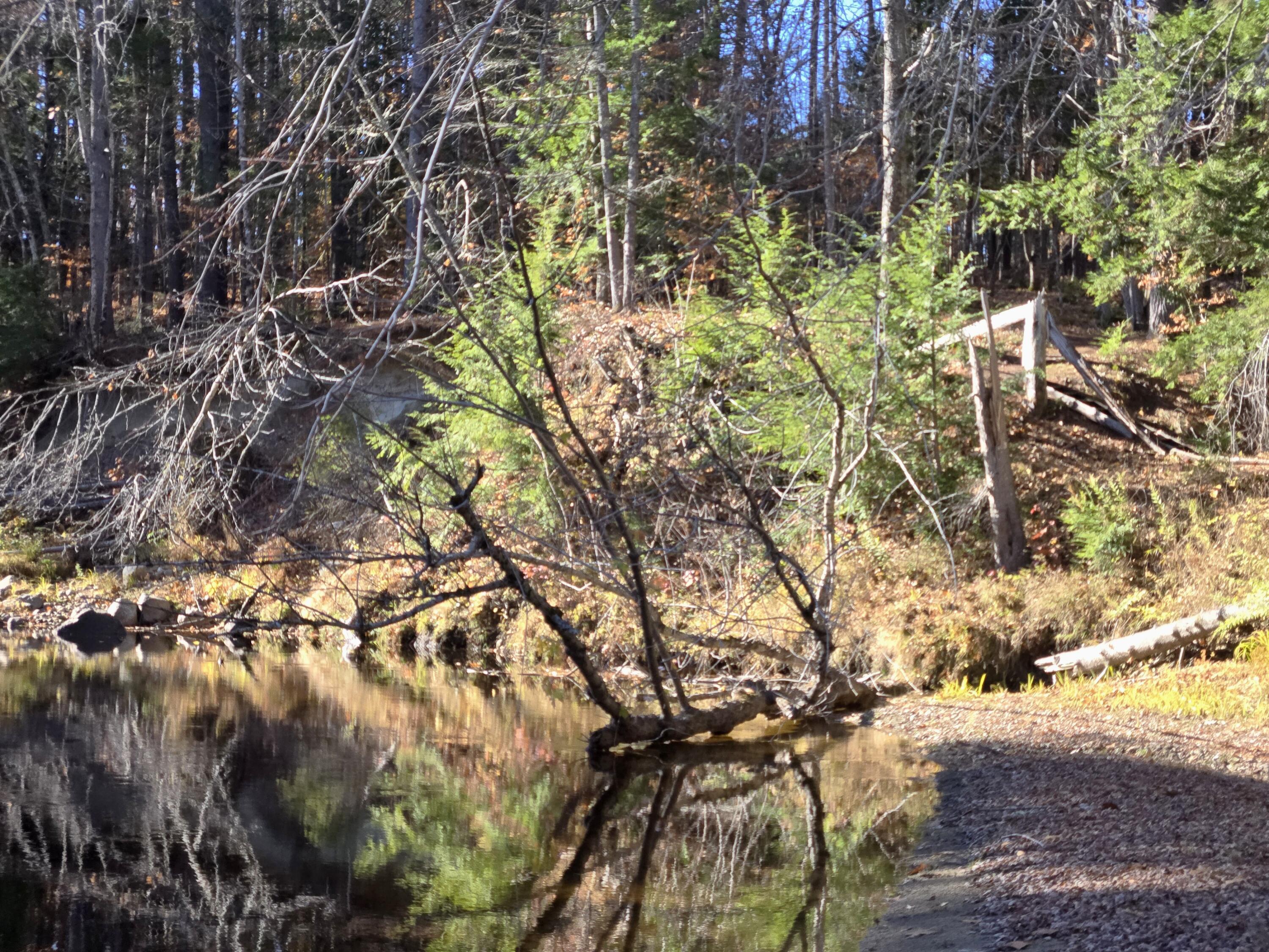 31 Sand Road Naples, ME 04055 - Photo 6 of 9 Trail