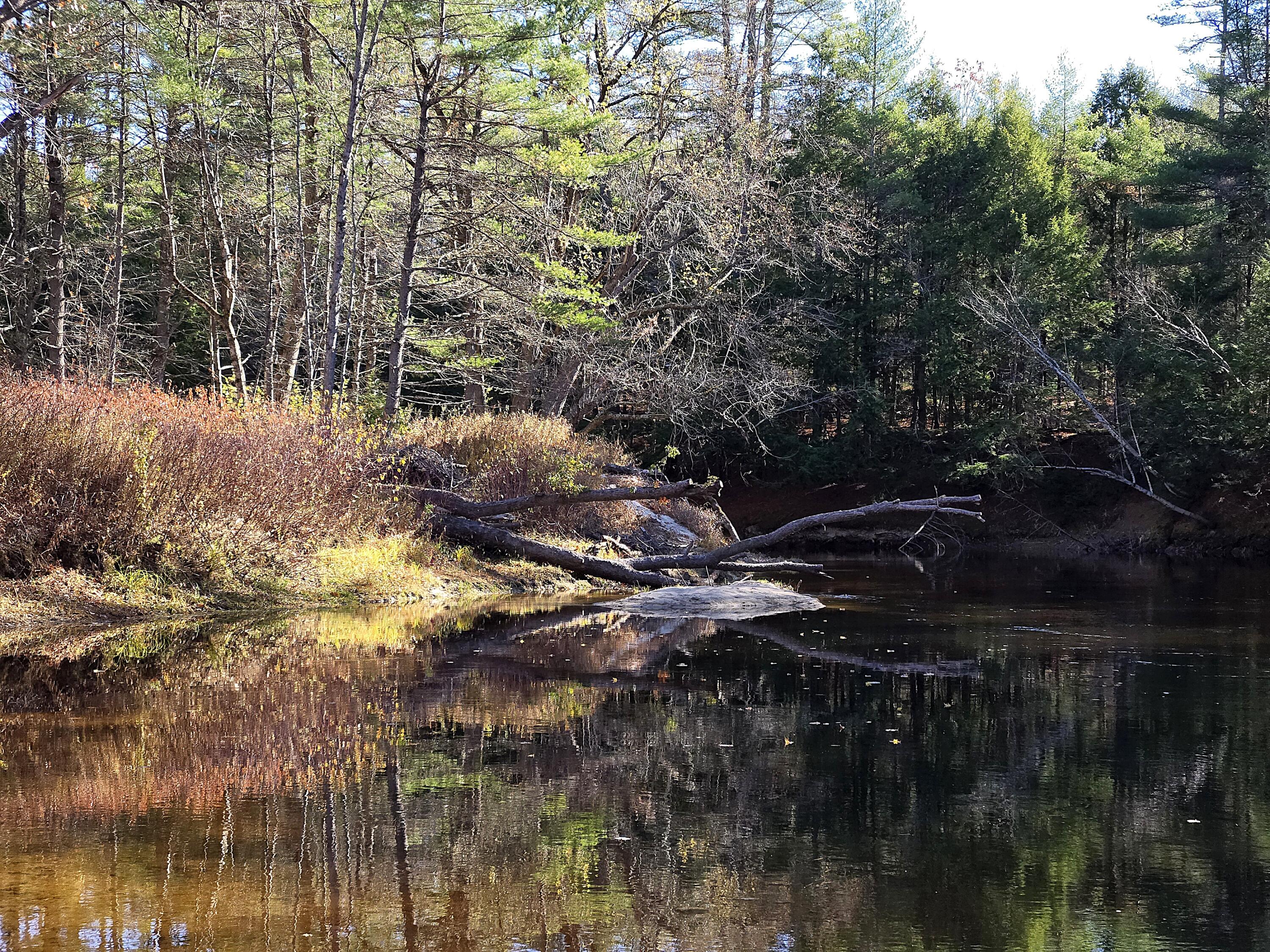 31 Sand Road Naples, ME 04055 - Photo 9 of 9 Eddy View